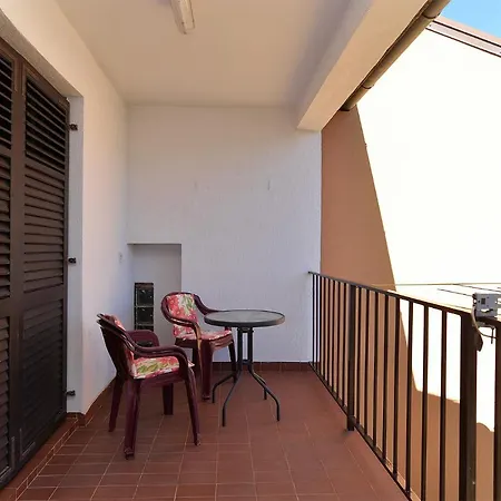 Vanga 533 Pula