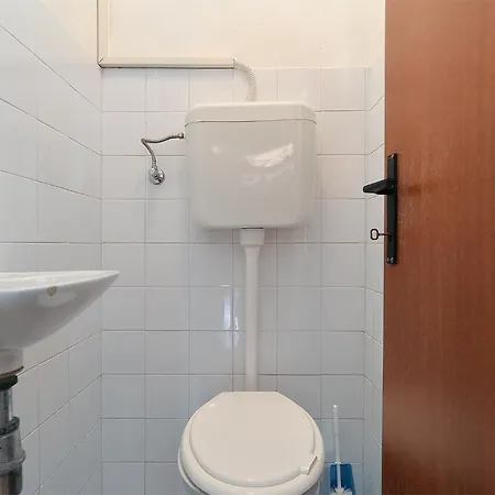 Vanga 533 Pula