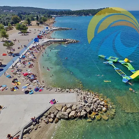Vanga 533 Pula