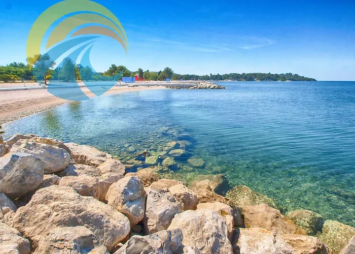 Vanga 533 Daire Pula