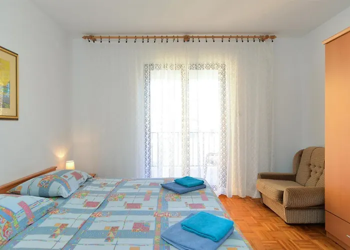 Vanga 533 Pula